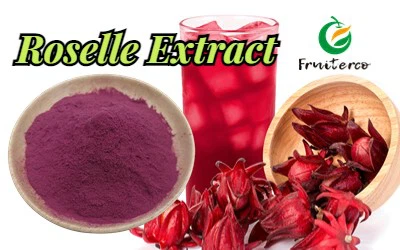 Hibiscus (1).jpg Hibiscus (1).jpg
